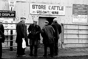 Agriculture Prints: Bakewell, Derbyshire Cattle Market - 2