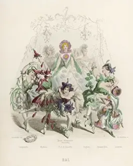 Bal Des Fleurs 1847