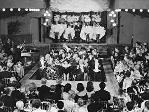 Bal Tabarin Nightclub