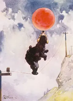 C1915 Prints: Balancing Bear / Rountree