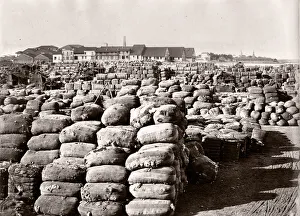 Bales of cotton waiting for export, port, likely India
