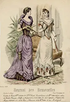 Pinned Prints: Ball Dress 1891