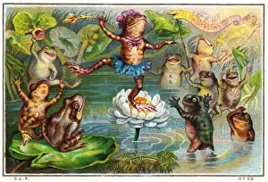 Lily Gallery: Ballet dancing frog on a Christmas card