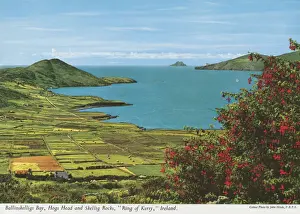 Hogs Prints: Ballinskelligs Bay, Hogs Head, Skellig Rock Ring of Kerry