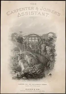 Ballochmyle Viaduct