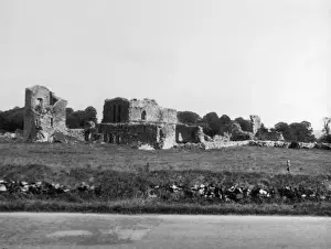 Mallow Prints: Ballybeggs Abbey