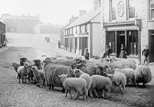 Ballyclare early 1900s