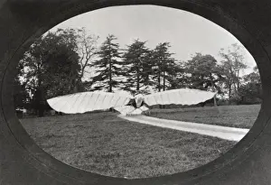 Flapping Prints: Balston Ornithopter Around 1908 in the UK