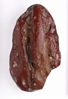 Baltic amber