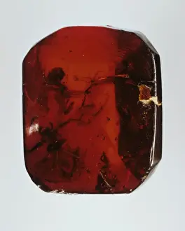 Baltic amber
