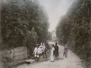 Bamboo Gallery: Bamboo grove at Negishi, Yokohama, Japan