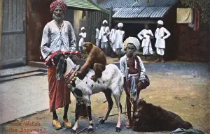 Chimp Prints: Banda Wallah (showman) with boy and animals, India