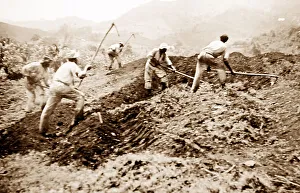 Banking Prints: Banking sand, St Vincent, Caribbean