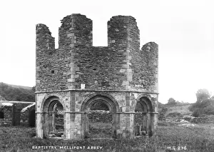 Baptistery, Mellifont Abbey