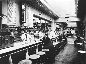 Bar at the Medved Restaurant, St Petersburg Bar at the Medved Restaurant, St Petersburg