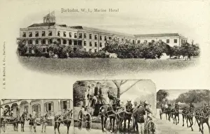 Barbados Prints: Barbados