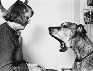 Barbara Woodhouse & Dog