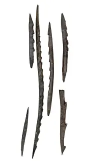 Barbed points from Star Carr
