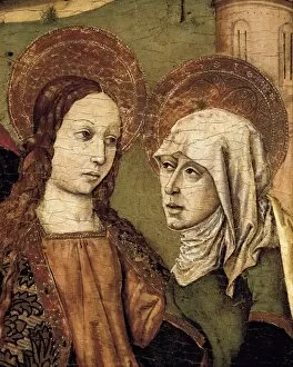 Visitation Collection: BARCELO, Joan. The Visitation Altarpiece