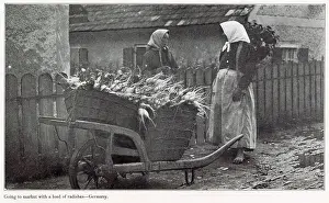Barefooted Prints: Two barefooted women going to market with a barrel of freshly picked radishes. Date: 1908
