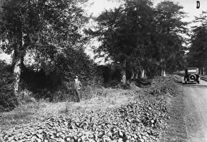 Hoax Prints: Barkham Manor drive, Piltdown