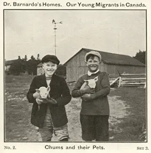 Emigrants Prints: Barnardos Emigrants in Canada - Chums and their Pets