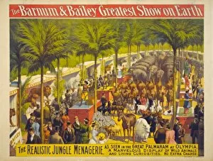 Menagerie Collection: The Barnum & Bailey Greatest Show on Earth - The realistic j