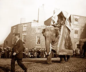 Barnum's Circus, probably Liverpool, Victorian period