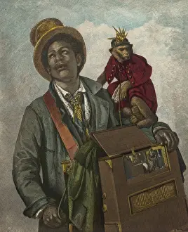 Barrel Organ / 1880 / Monkey