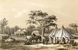 Barth / Africa / Encampment