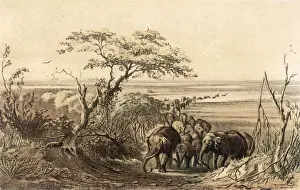 BARTH / AFRICA / LAKE CHAD