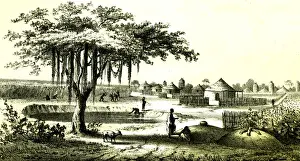 Barth / Africa / Musgu