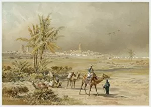 Timbuktu Collection: Barth / Timbuktu / Camel