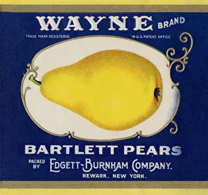 Bartlett Pear Label