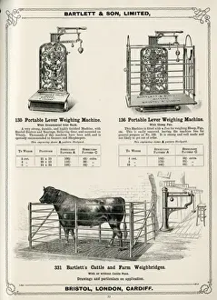 Bartlett & Son Ltd catalogue