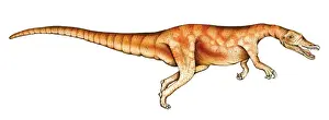Baryonyx