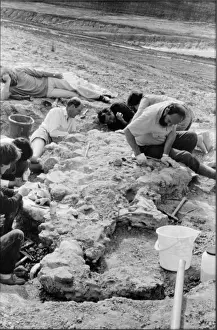 Palaeontologist Prints: Baryonyx excavation, 1983