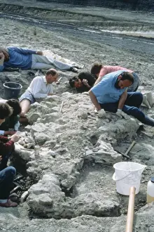 Baryonyx excavations