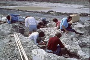 Carnosauria Prints: Baryonyx excavations