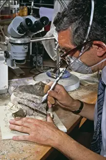Baryonyx laboratory work, 1983