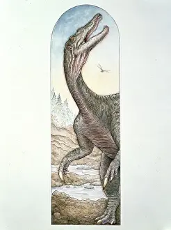 Baryonyx walkeri