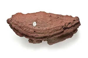 Scott Expedition Gallery: Basalt bomb