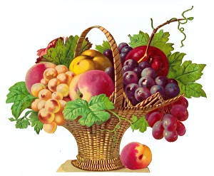 Images Dated 2nd November 2015: Basket of fruit on a Victorian scrap
