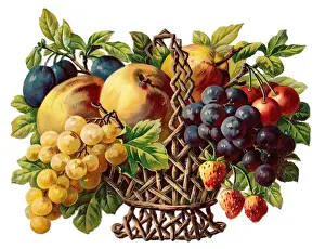 Basket of fruit on a Victorian scrap
