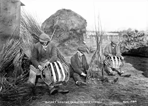 Basket Making, Gawleys Gate. Loch Neagh Basket Making, Gawleys Gate. Loch Neagh