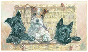 Mischief Prints: A Basket of Mischief
