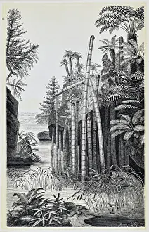 Basle Prints: Basle during the Keuper Period (Middle to Upper Triassic)