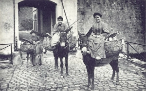 Ladies on Donkeys