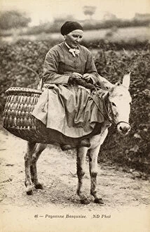 Basque Gallery: Basque woman riding a donkey