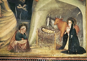 The Nativity Gallery: BASSA, Ferrer (1290-1348). Frescoes of the St